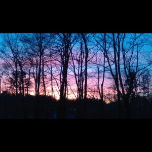 Bundle for Yoyomotivate